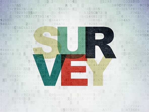 Service Management Surveys to establish levels of IT service